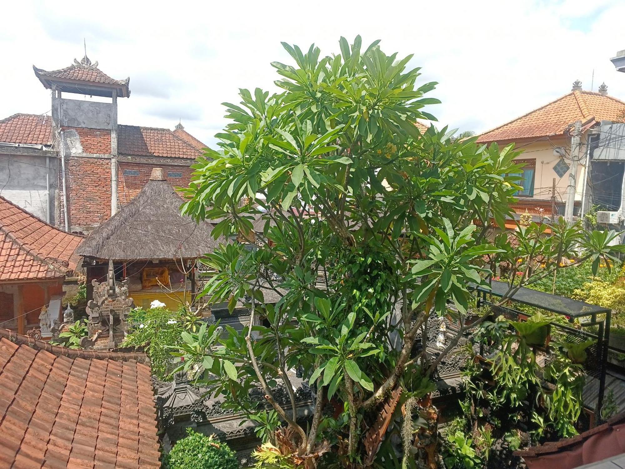 Arjuna Homestay Ubud Exterior foto